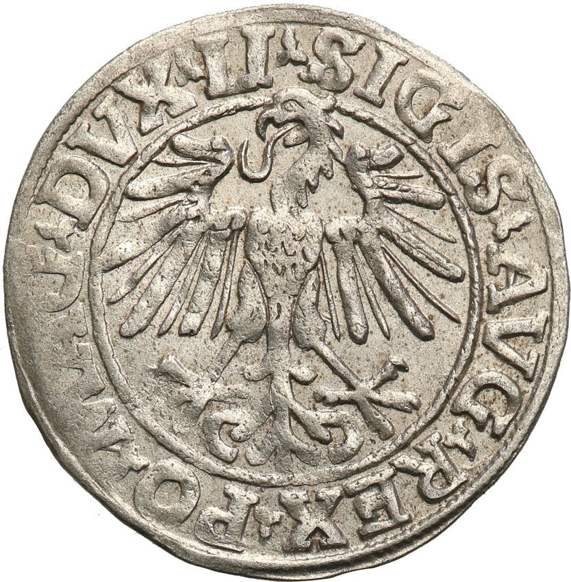 Zygmunt II August. Półgrosz 1548 Wilno